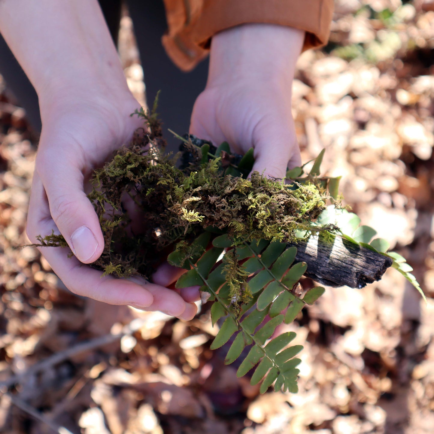 Children’s Art & Curiosity Workshop - Spring 2025